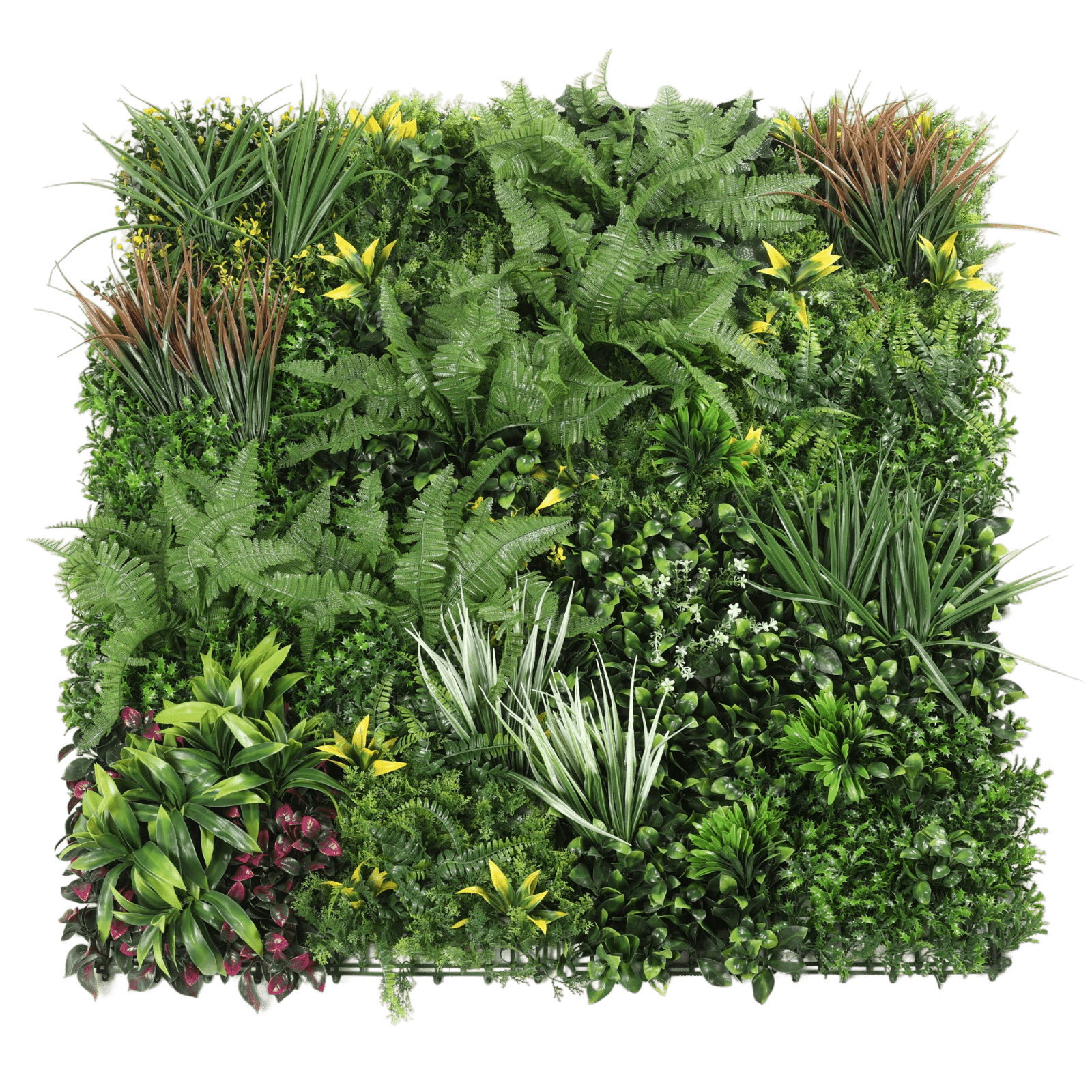 Realistic UV-resistant artificial grass wall panel in 40x40 inches, featuring lush greenery with ferns, grasses, and